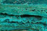 Brilliant Teal Botryoidal Chrysocolla and Malachite - Chile #299568-1